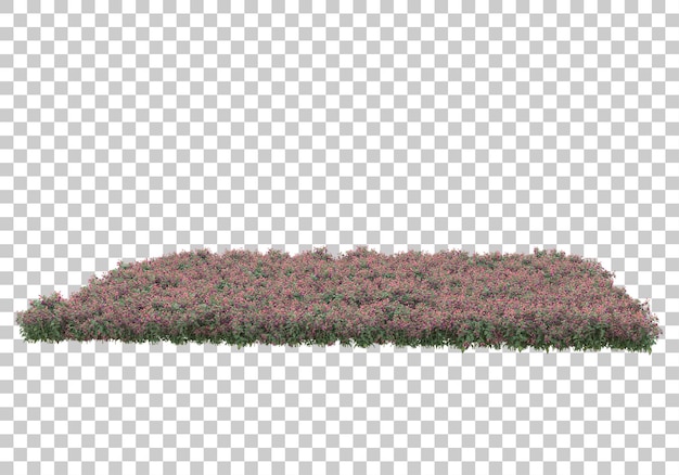 Ilustrasi render 3D lapangan rumput dengan latar belakang transparan