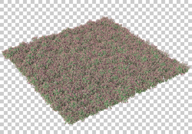 Ilustrasi render 3D lapangan rumput dengan latar belakang transparan