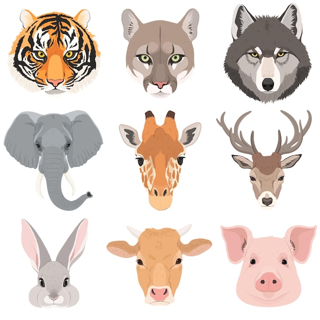 une image d'un animal sauvage