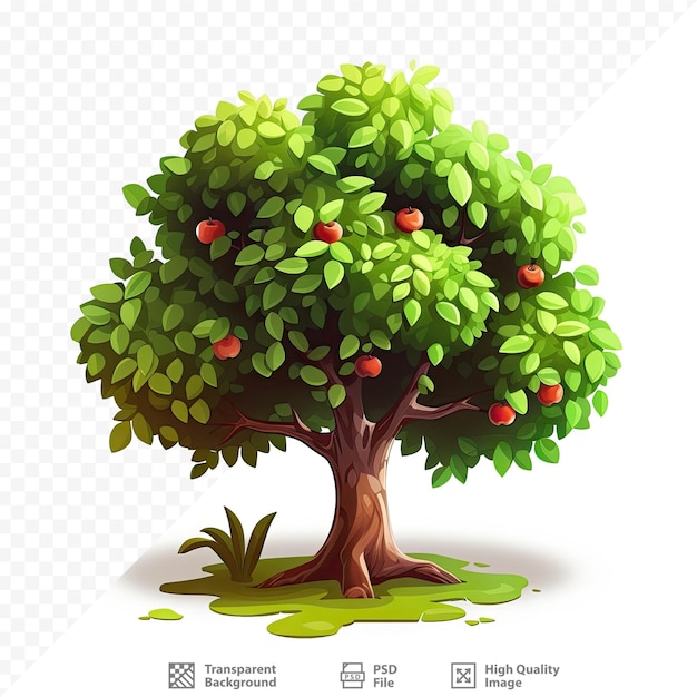 Une Image D'un Arbre Avec Une Image D'un Arbre Et Les Mots « Fruit ».