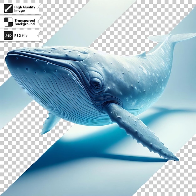 PSD une image d'une baleine qui a le mot baleine dessus