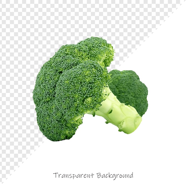 une image de broccoli et une image d'un broccoli
