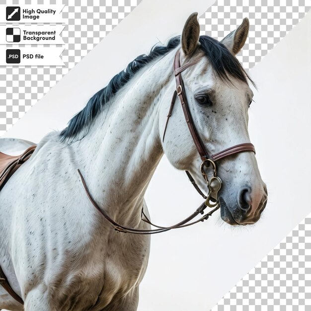 Une Image D'un Cheval Blanc Avec Une Crinière Et Une Bride Noires