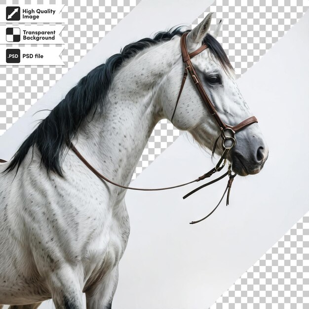 Une Image D'un Cheval Blanc Avec Une Crinière Et Une Bride Noires