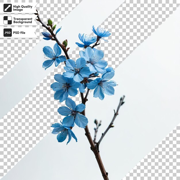 PSD une image d'une fleur bleue qui dit rem sur le fond