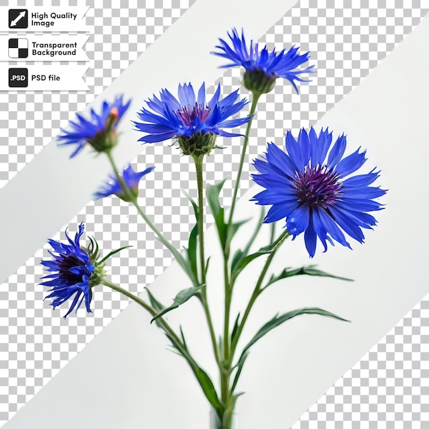 PSD une image d'une fleur bleue qui dit 