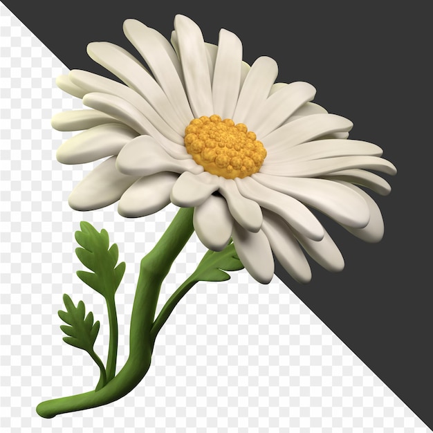 une image d'une fleur avec le mot marguerite dessus