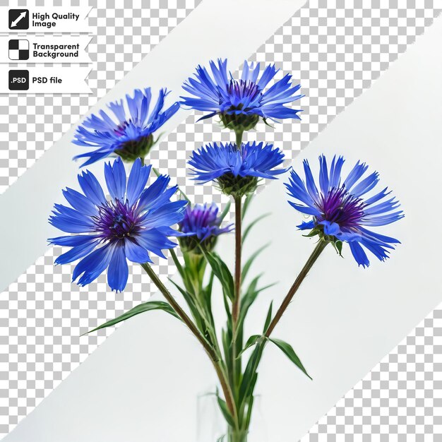 PSD une image d'une fleur qui dit 