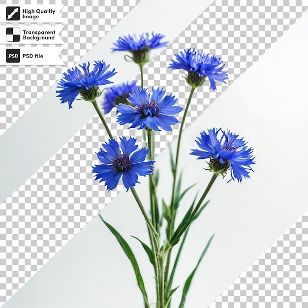 PSD une image d'une fleur qui dit 