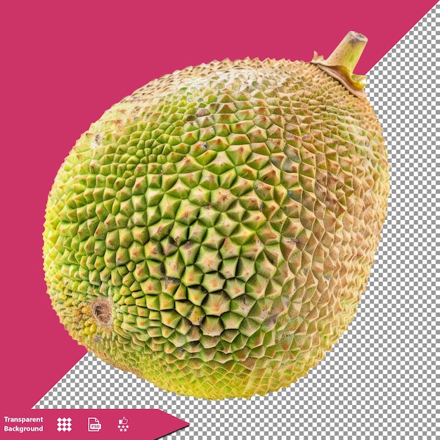 PSD une image d'un fruit qui est de l'année de mai