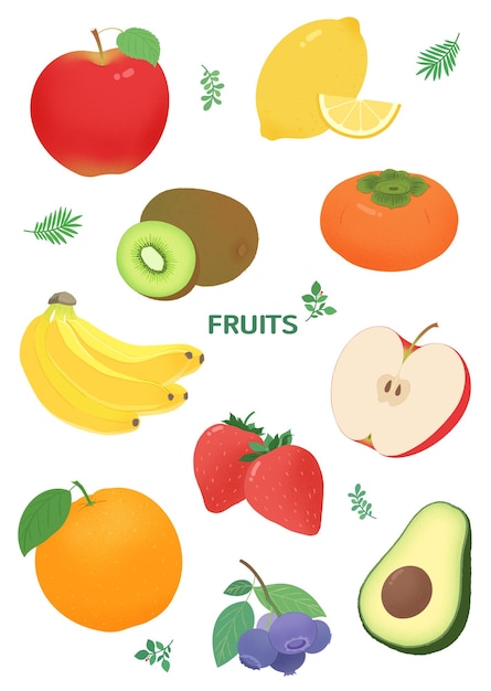 une image de fruits et légumes avec le mot fruit dessus