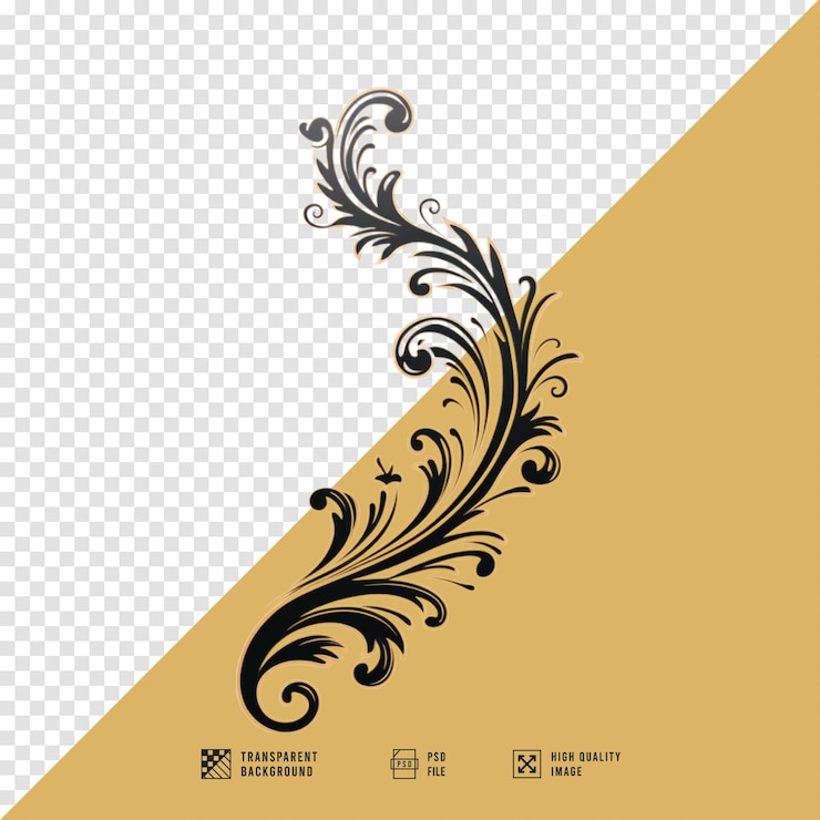 PSD image of decorative design elements without background hd quality