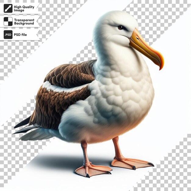PSD une image d'un oiseau avec un bec jaune et un fond noir et blanc