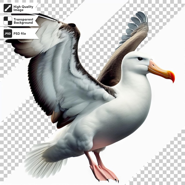 PSD une image d'un oiseau avec le mot mouette dessus