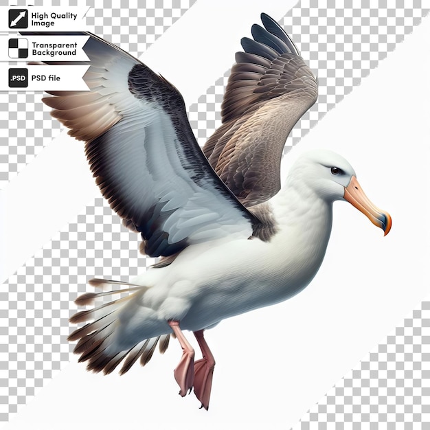 PSD une image d'un oiseau avec le mot mouette dessus