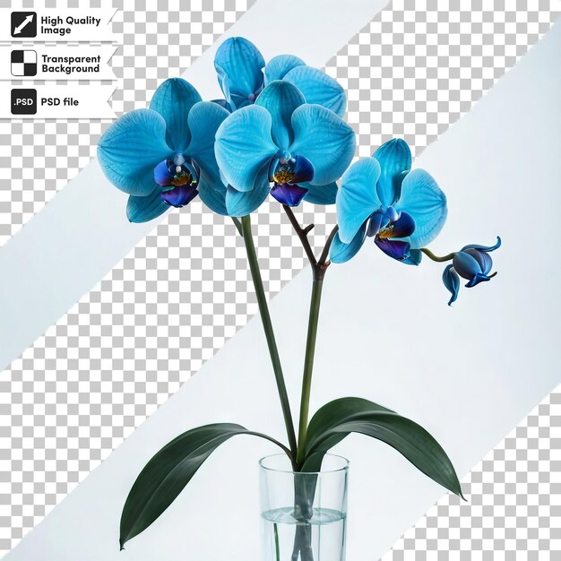 PSD une image d'une orchidée bleue dans un verre avec les mots 