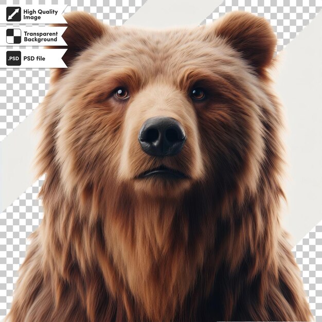 PSD une image d'un ours brun avec le mot ours dessus