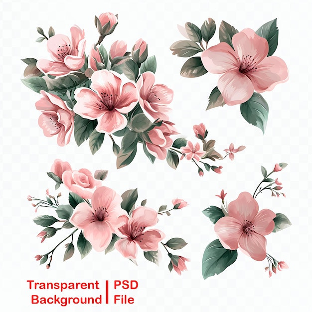 Image de paquet d'ornements floraux transparents de qualité HD