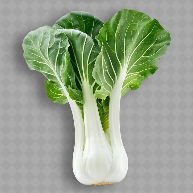 PSD une image d'une plante avec un fond de betterave