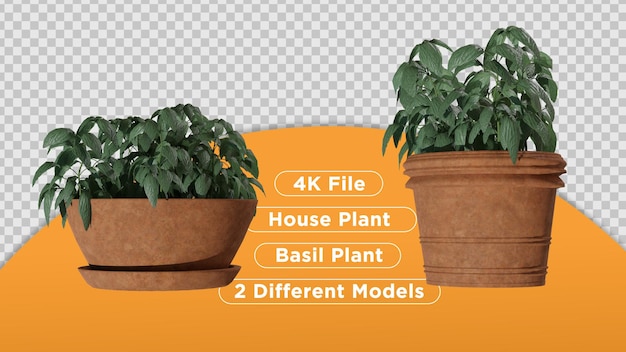 PSD une image d'une plante avec les mots fichier 4k, plante d'intérieur et 2 modèles différents