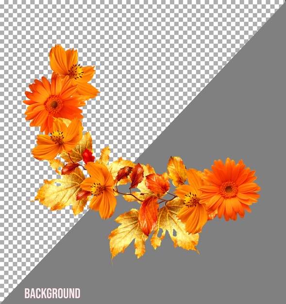 PSD l'image png des fleurs