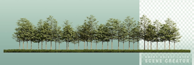 PSD image de rendu 3ds de la vue de face des arbres sur le champ de graminées