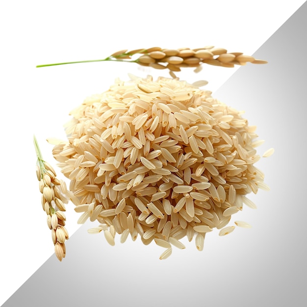une image de riz et une image d'un grain