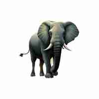 PSD image vectorielle animal éléphant 3d