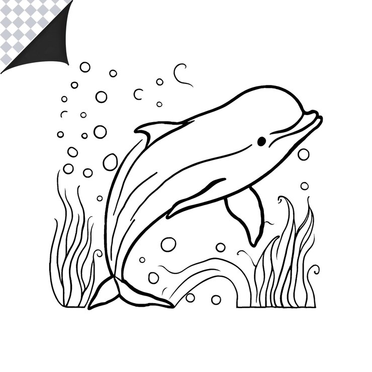 PSD imagem de contorno de golfinho para crianças livro de colorir divertido e fácil página de colorir golfinho