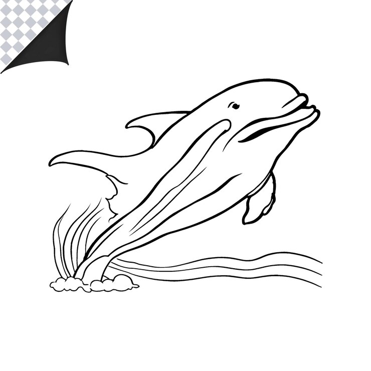 PSD imagem de contorno de golfinho para crianças livro de colorir divertido e fácil página de colorir golfinho