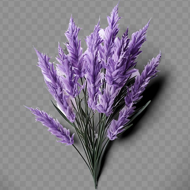 PSD imagem isolada de uma flor de lavanda seca mostrando sua folha de decoração png psd int ph transparente