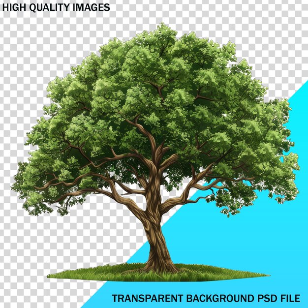 PSD una imagen de un árbol con un fondo azul y una imagen de un árbol