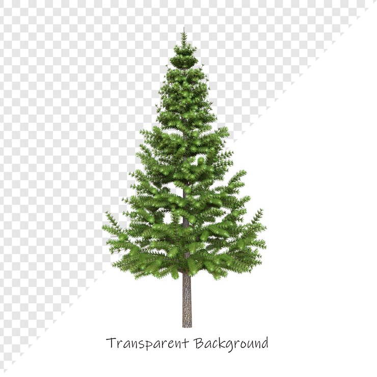 PSD una imagen de un árbol con un fondo blanco con una foto de un pino