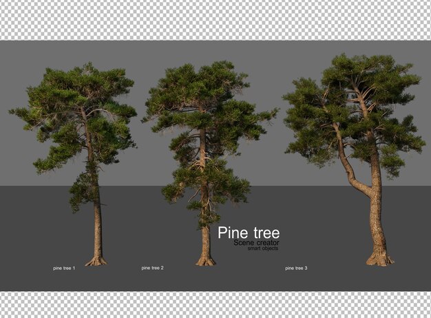 una imagen de un árbol que tiene un pino en él