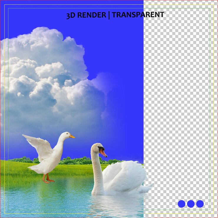 una imagen de dos cisnes en primer plano y las palabras " dk " en la parte inferior