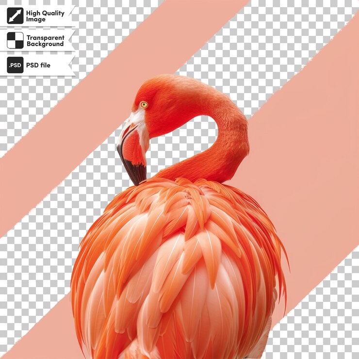 PSD una imagen de un flamenco con un fondo rosa