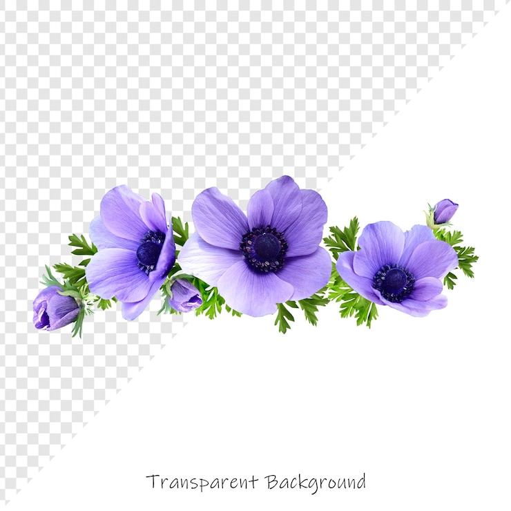 PSD una imagen de una flor con las palabras contorno en ella