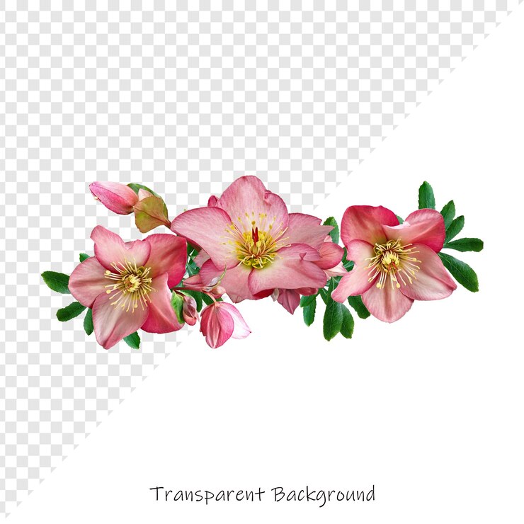 PSD una imagen de flores con las palabras transparente en la parte inferior