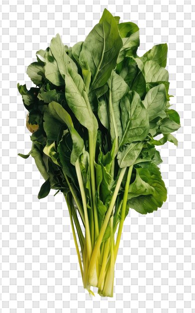 Una imagen de una lechuga verde con un fondo blanco