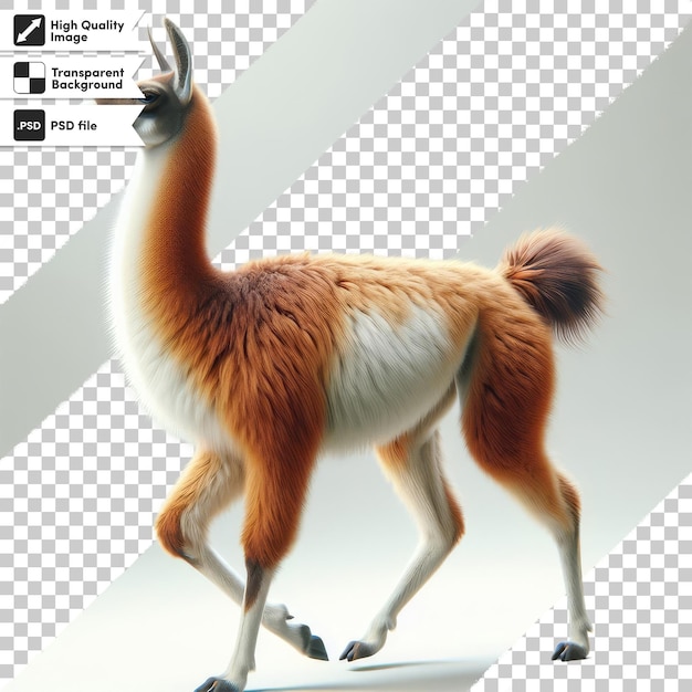 una imagen de una llama que se llama camello