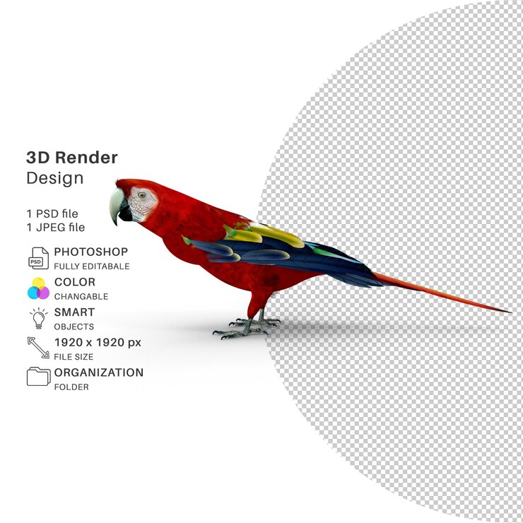 PSD una imagen de un loro con la imagen de un guacamayo.
