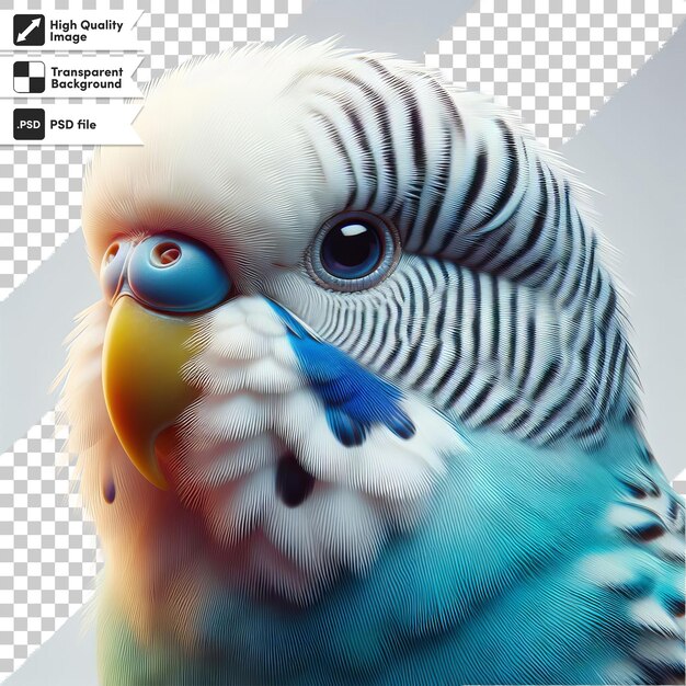 una imagen de un loro con un pico que dice pájaro