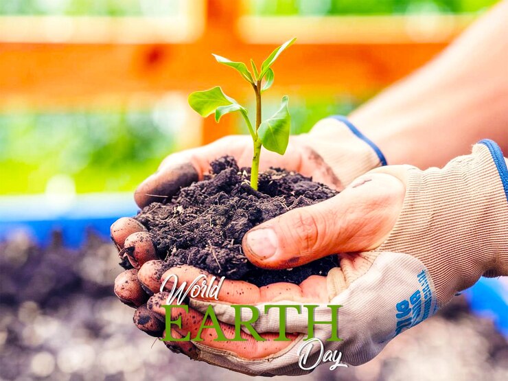PSD una imagen de una mano sosteniendo una planta con las palabras natural en ella