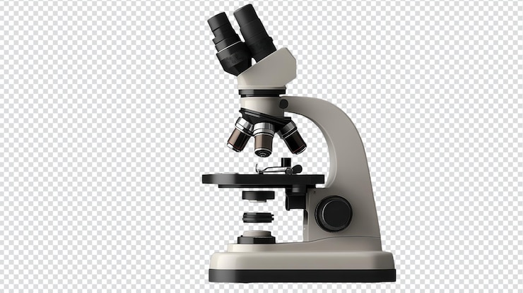 PSD imagen de microscopio aislado de alta resolución para presentaciones de educación científica e investigación