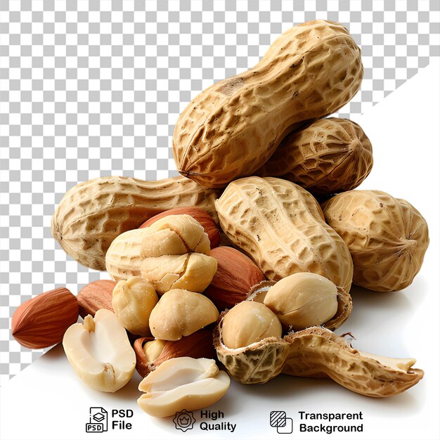 Una imagen de muchas nueces aisladas en un fondo transparente con un archivo png