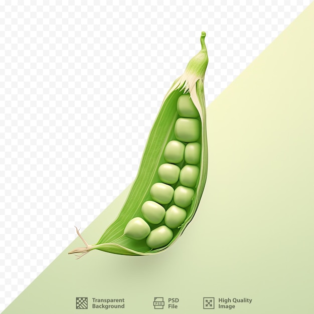PSD una imagen de una planta con una imagen de una planta y una imagen de un maíz.