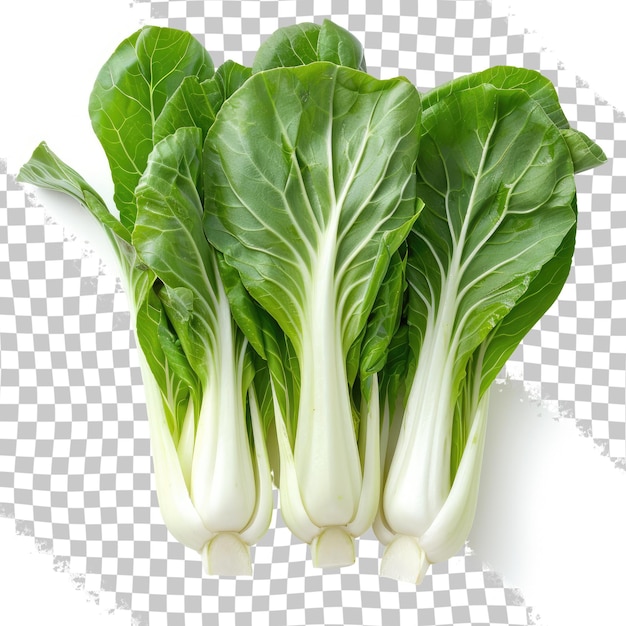 PSD una imagen de una planta que está en una cuadrícula con una imagen de lechuga