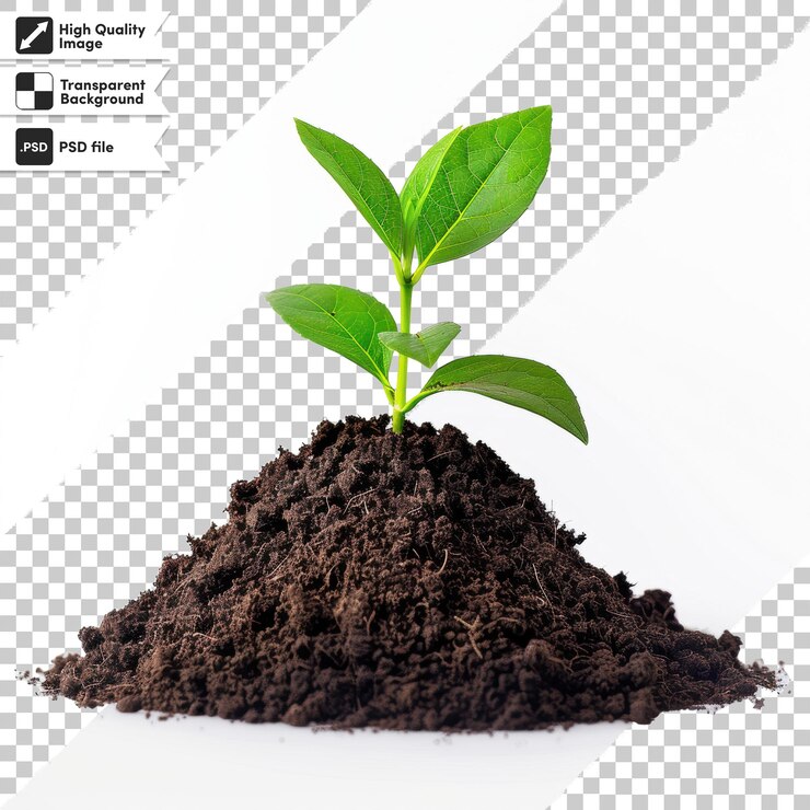 PSD una imagen de una planta que está en una cuadrícula con las palabras "planta" en ella