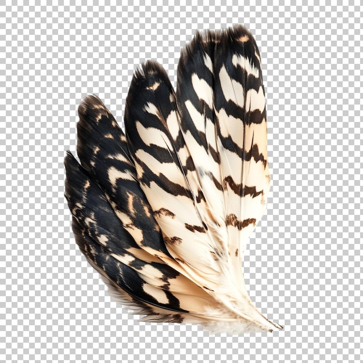 PSD una imagen de una pluma con la palabra pluma en ella