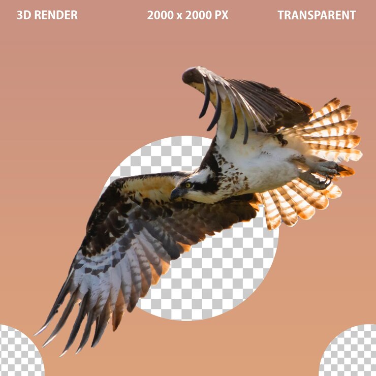 PSD imagen png de águila con fondo aislado transparente